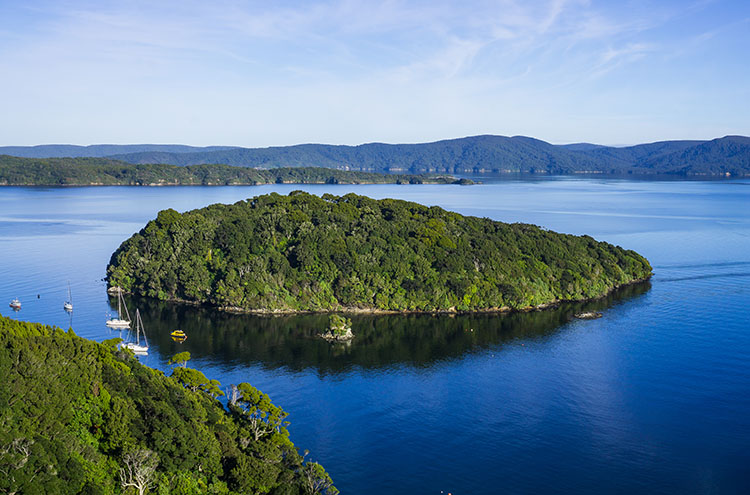 Stewart Island landscape
